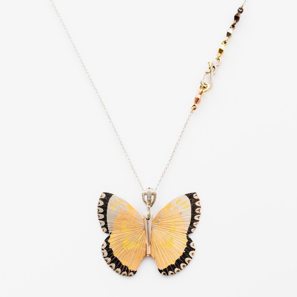 BUTTERFLIES COLLECTION Page 2 JAMES BANKS