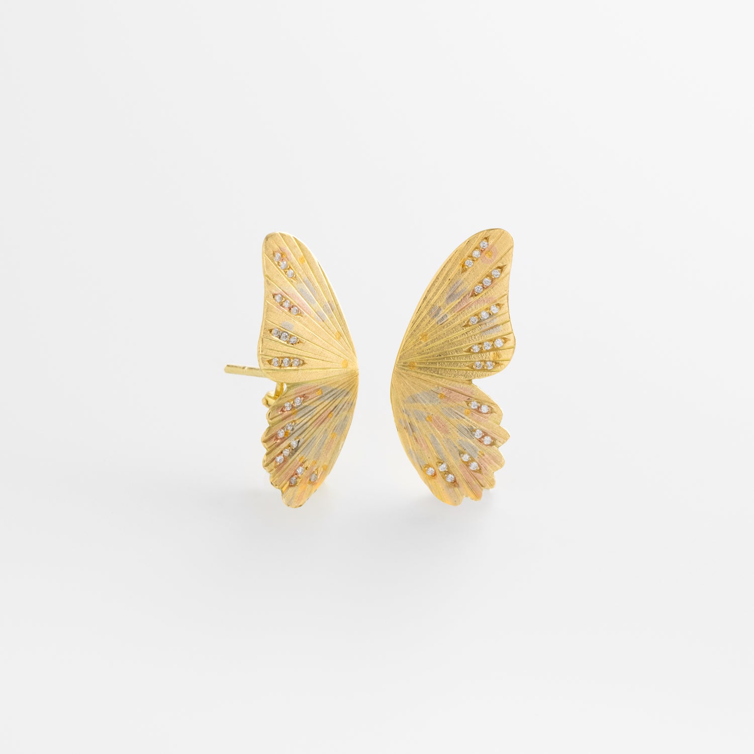 Diamond Golden Troides Birdwing